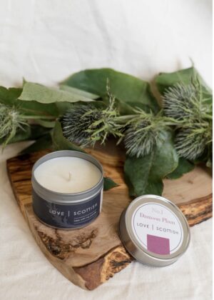 Travel Tin Damson Plum Candle by Love Scottish