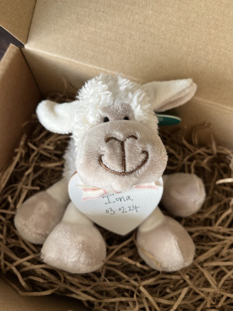 Personalised Sheep Baby Gift