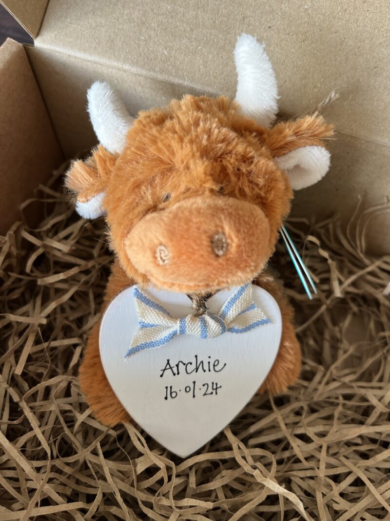 Personalised Highland Cow Baby Gift