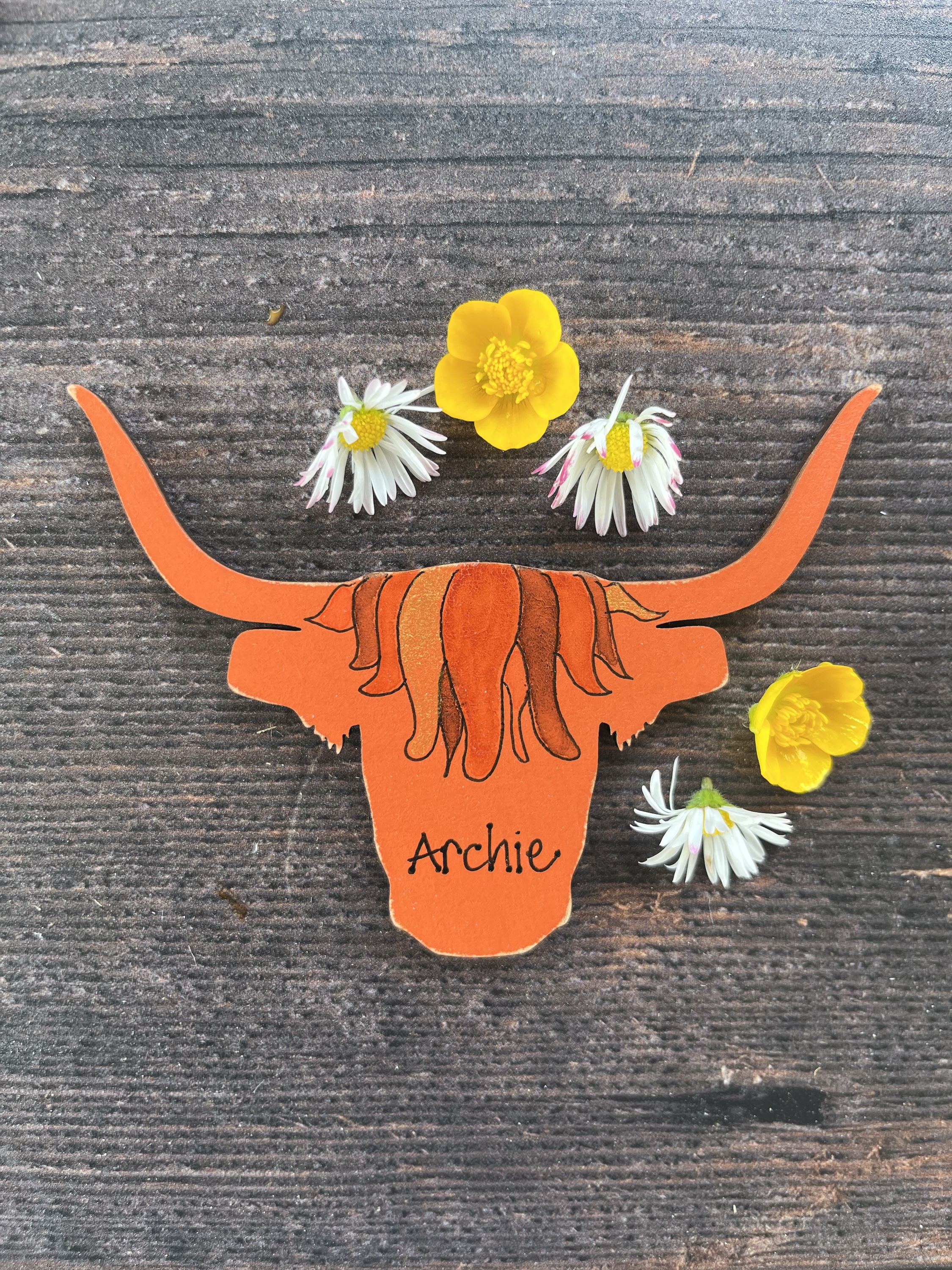 personalised highland cow magnet